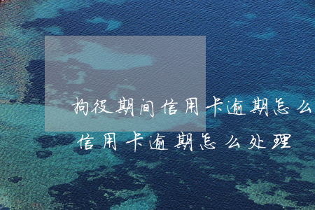 拘役期间信用卡逾期怎么处理最快（拘役期间信用卡逾期怎么处理）