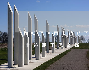 拘捕了信用卡逾期了怎么辦(進了拘留所信用卡逾期了怎么辦)
