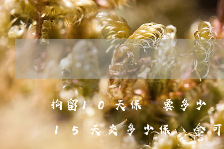 拘留10天保釋要多少錢(qián)(拘留15天交多少保釋金可以放出來(lái))