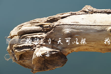 拘留10天可以探視嗎(拘留10天可以探視嗎吸毒)