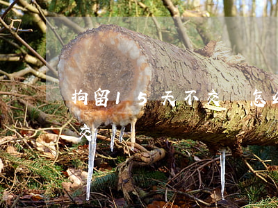 拘留15天不交錢怎么辦(拘留15天出來要交錢嗎)