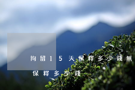 拘留15天保釋多少錢(無證駕駛拘留15天保釋多少錢)
