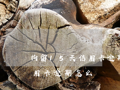 拘留15天信用卡逾期怎么辦(拘留15天信用卡逾期怎么辦)