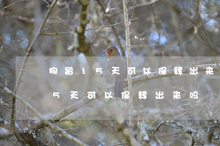 拘留15天可以保释出来吗(无证驾驶拘留15天可以保释出来吗)