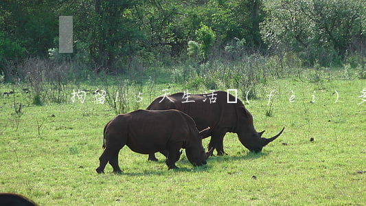 拘留15天生活費(fèi)多少錢