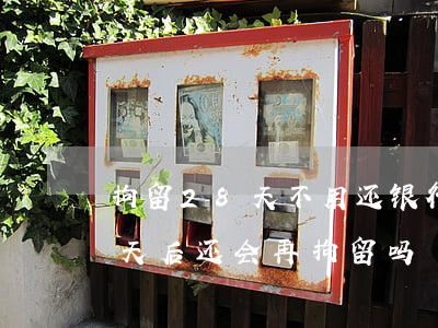 拘留28天不用还银行钱(欠钱不还拘留十五天后,还会再拘留吗)