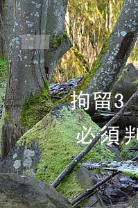 拘留37天是什么罪行(拘留37天后是不是必須判刑)