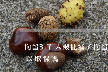拘留37天被批捕了(拘留37天被批捕了可以取保嗎)