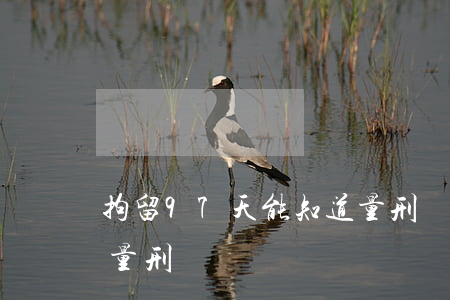 拘留97天能知道量刑嗎(拘留97天能知道量刑嗎)
