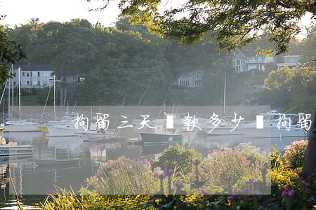 拘留三天罰款多少錢(拘留三天罰款多少錢)