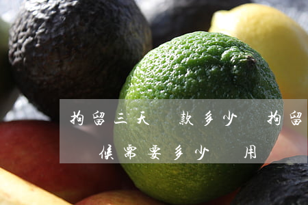 拘留三天罰款多少錢(拘留所拘留3天出來的時候需要多少費用)
