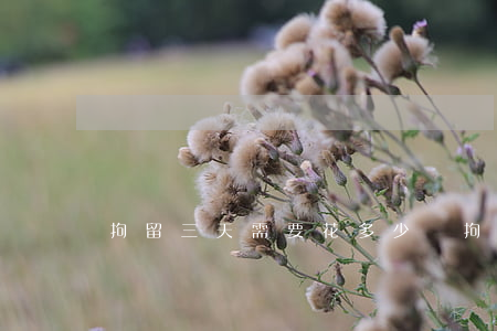 拘留三天需要花多少錢(拘留三天需要花多少錢)