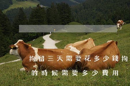 拘留三天需要花多少錢(拘留所拘留3天出來的時候需要多少費用)