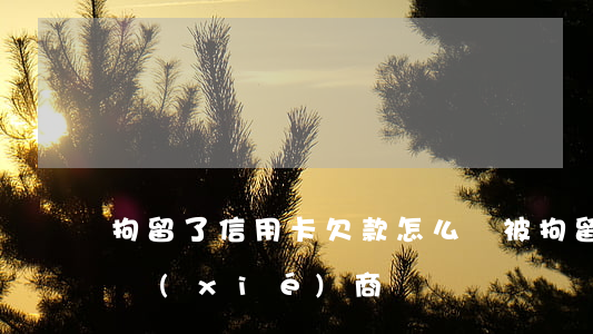 拘留了信用卡欠款怎么辦（被拘留信用卡怎么協(xié)商）