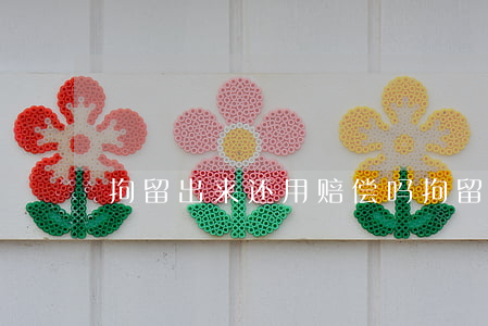拘留出来还用赔偿吗(拘留了还要罚款吗)