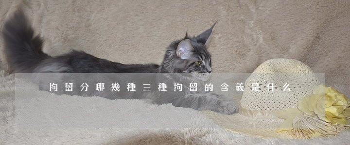 拘留分哪幾種,三種拘留的含義是什么