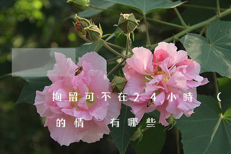 拘留可不在24小時內(nèi)通知家屬的情況有哪些