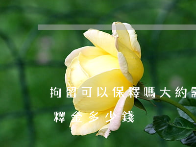 拘留可以保釋嗎 大約需要多少錢(刑事拘留保釋金多少錢)