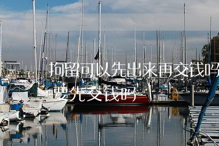 拘留可以先出来再交钱吗(在派出所拘留前需要先交钱吗)