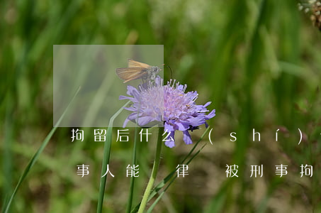 拘留后什么時(shí)候當(dāng)事人能請律師(被刑事拘留后什么時(shí)候請律師最好)
