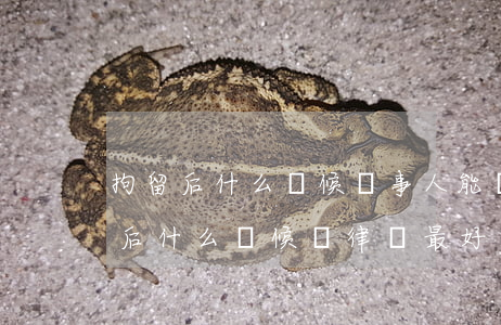 拘留后什么時候當事人能請律師(被刑事拘留后什么時候請律師最好)