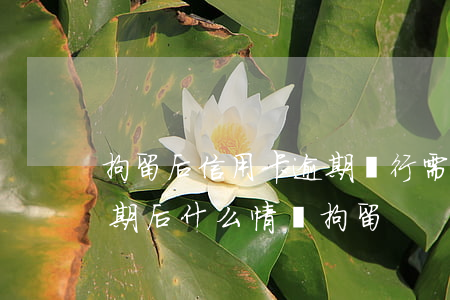 拘留后信用卡逾期銀行需要拘留證（信用卡逾期后什么情況拘留）