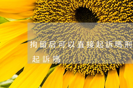 拘留后可以直接起訴嗎(刑事拘留后可以直接起訴嗎)