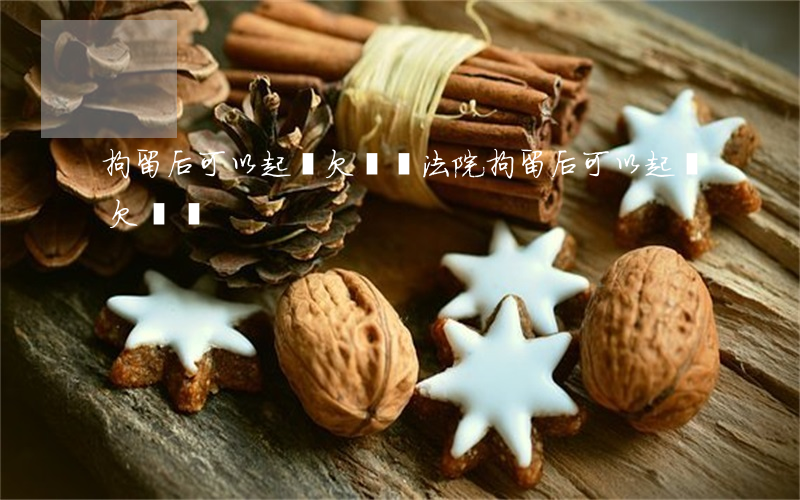 拘留后可以起訴欠錢嗎法院（拘留后可以起訴欠錢嗎）