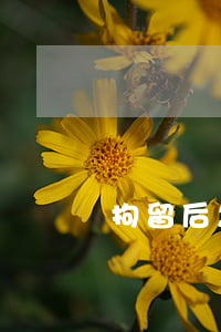 拘留后怎么找律師(被拘留可以自己怎么找律師)