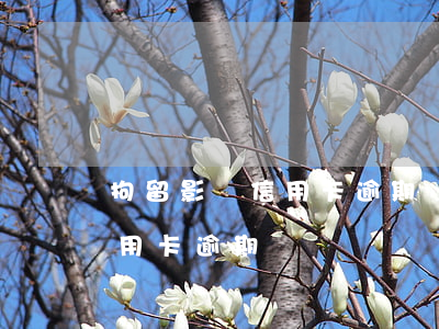 拘留影響信用卡逾期嗎(由于進拘留所導致信用卡逾期)