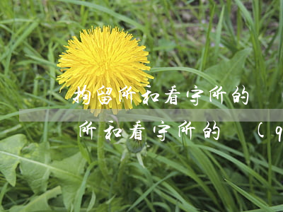 拘留所和看守所的區(qū)別(公安局拘留所和看守所的區(qū)別)