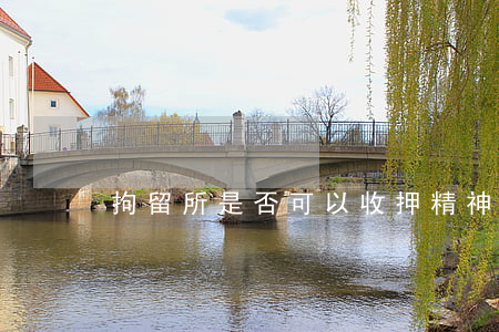 拘留所是否可以收押精神病人