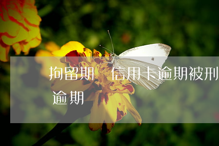 拘留期間信用卡逾期(被刑事拘留期間信用卡逾期)