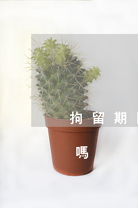 拘留期間可以探視嗎(刑事拘留期間可以探視嗎)
