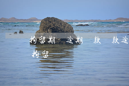 拘留期間逾期還款(還款逾期會不會受到刑事拘留)