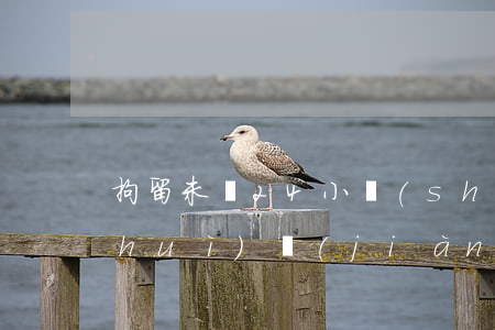 拘留未滿24小時(shí)律師可以會(huì)見(jiàn)嗎(拘留未滿24小時(shí)律師可以會(huì)見(jiàn)嗎)
