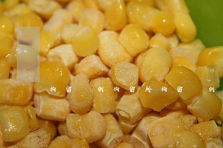 拘留條例，拘留所拘留條例