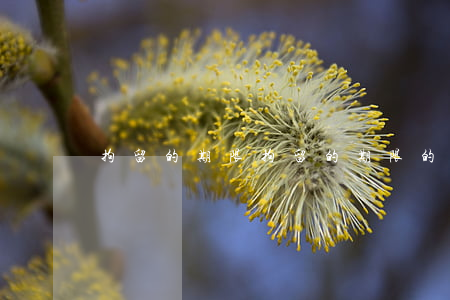 拘留的期限(拘留的期限的起止时间)
