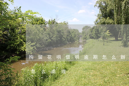 拘留花唄借唄逾期怎么辦(螞蟻借唄逾期他們怎么處理)