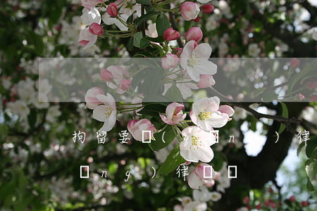 拘留要請(qǐng)律師嗎(拘留要請(qǐng)律師嗎)