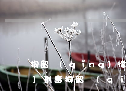 拘留請(qǐng)律師多少錢(qián)(刑事拘留請(qǐng)律師保釋要多少錢(qián))