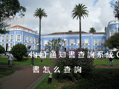 拘留通知書查詢系統(tǒng)(拘留通知書怎么查詢)