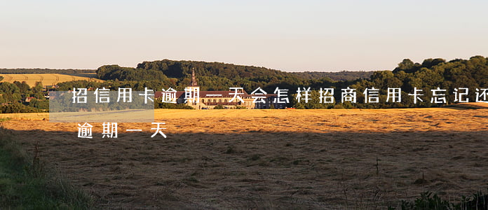 招信用卡逾期一天会怎样（招商信用卡忘记还逾期一天）
