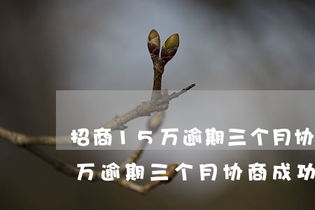 招商15万逾期三个月协商成功-招商15万逾期三个月协商成功了
