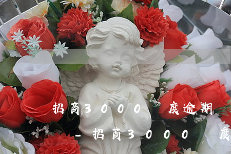 招商3000額度逾期會(huì)被起訴嗎-招商3000額度逾期會(huì)被起訴嗎知乎