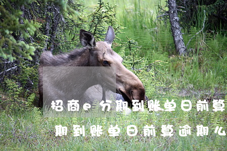招商e分期到账单日前算逾期么-招商e分期到账单日前算逾期么