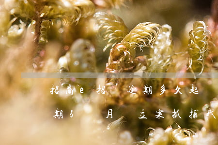 招商e招貸逾期多久起訴 招商銀行e招貸逾期5個月,會立案抓捕我嗎