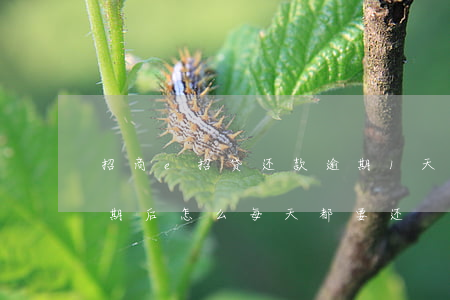 招商e招贷还款逾期1天(招商银行e招贷逾期后怎么每天都要还)