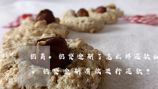 招商e招贷逾期了怎么样还款，如何应对招商e招贷逾期，有效进行还款？