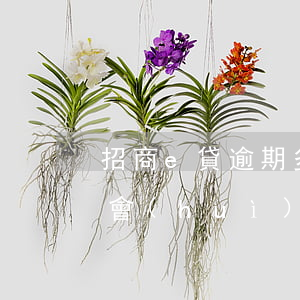 招商e貸逾期多久被起訴-e招貸逾期多久會(huì)被起訴
